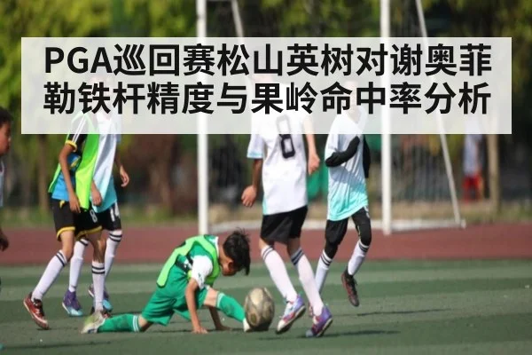 PGA巡回赛松山英树对谢奥菲勒铁杆精度与果岭命中率分析